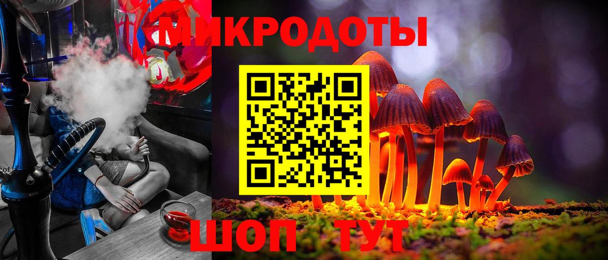 Галлюциногенные грибы Psilocybe Прокопьевск