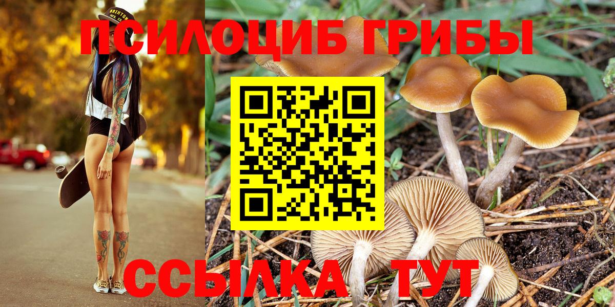 Галлюциногенные грибы Cubensis  Вход с VPN  Прокопьевск 